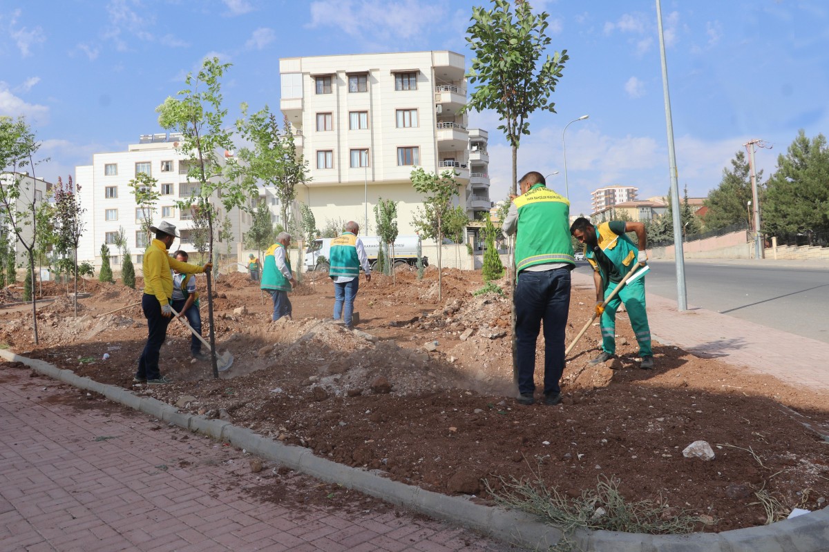 KARAKÖPRÜ’DE YENİ PARKLAR AĞAÇLANDIRILIYOR