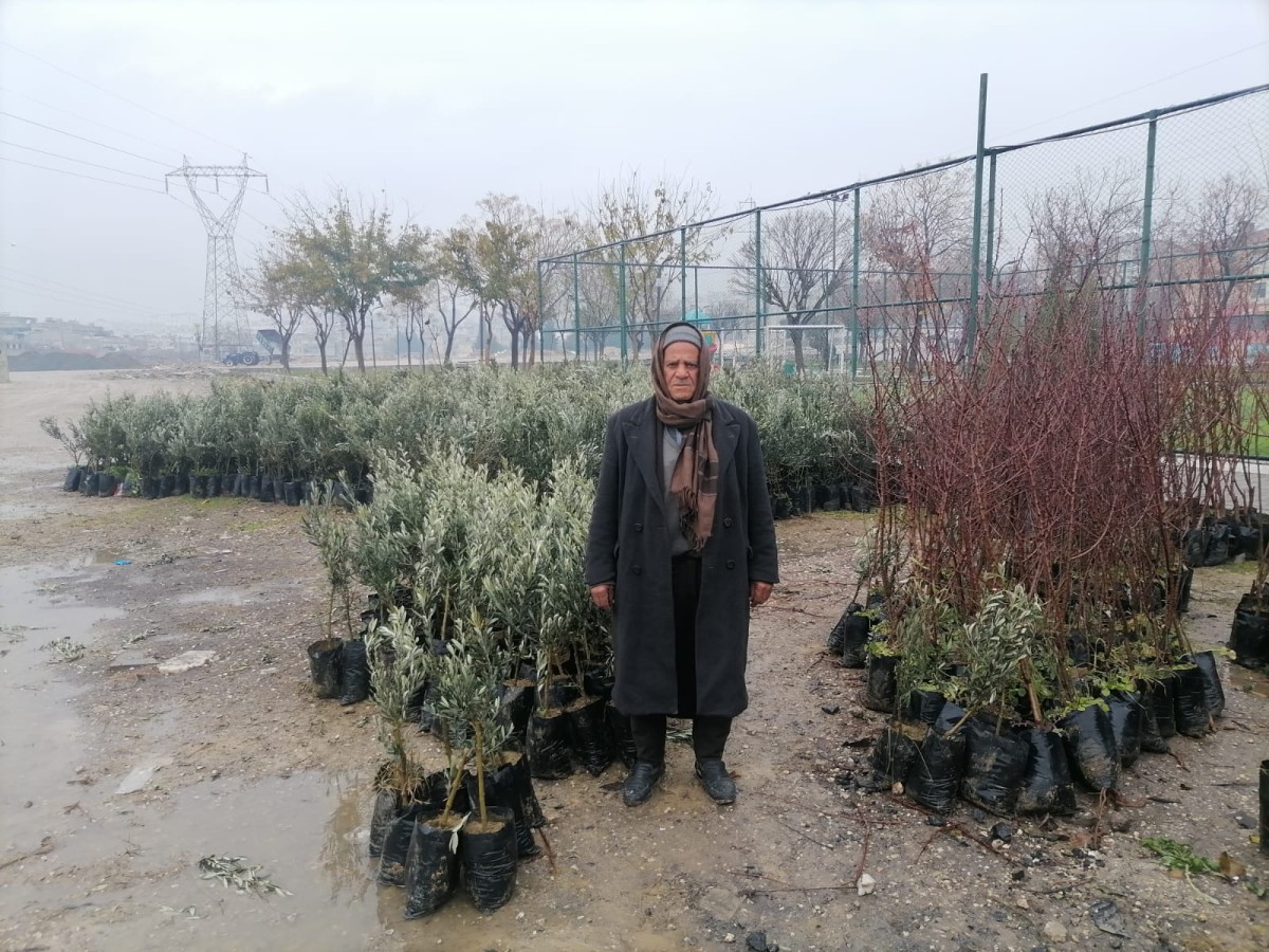EN ÇOK ZEYTİN VE FISTIK FİDANI SATILIYOR
