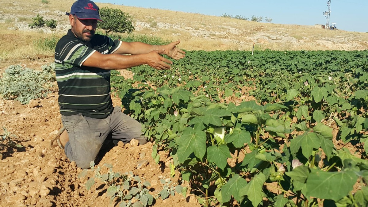Çiftçilerin Derdi Büyük..!