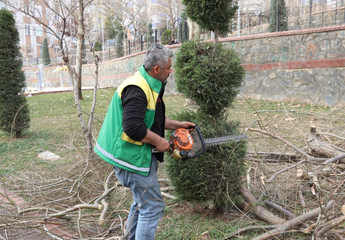 KARAKÖPRÜ’DE PARKLARDA BAKIM VE AĞAÇ BUDAMA ÇALIŞMALARI YAPILIYOR