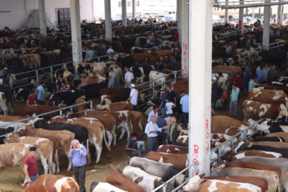Urfa’da canlı hayvan pazarı kapatıldı
