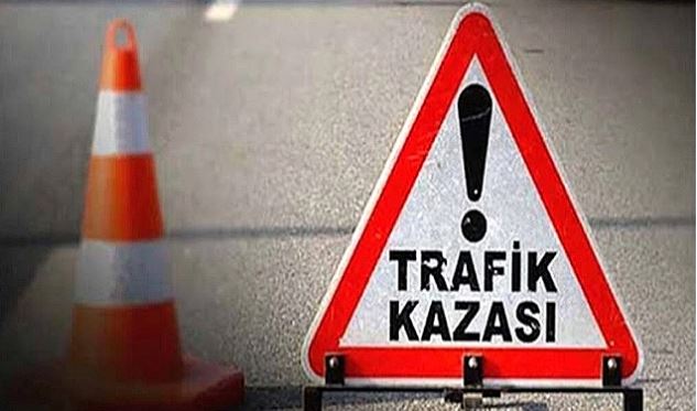 Urfalı TIR sürücüsünün feci ölümü