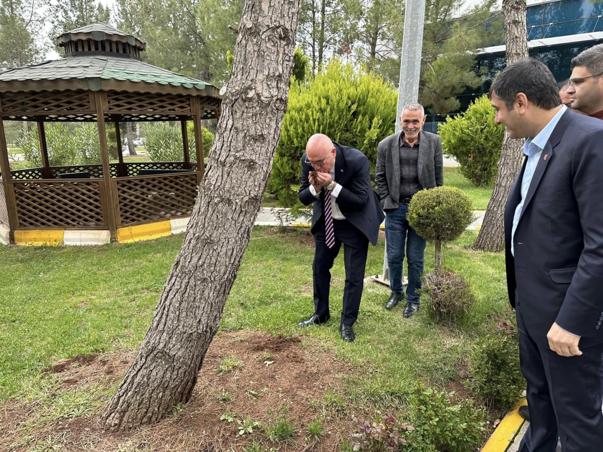 Tanal Şanlıurfa`da