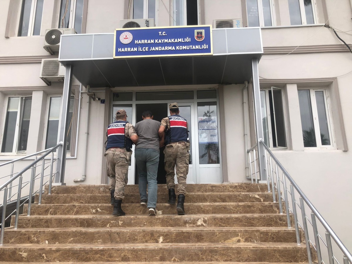 7 Yıl Cezası Kesinleşen Şahıs Urfa`da Yakalandı