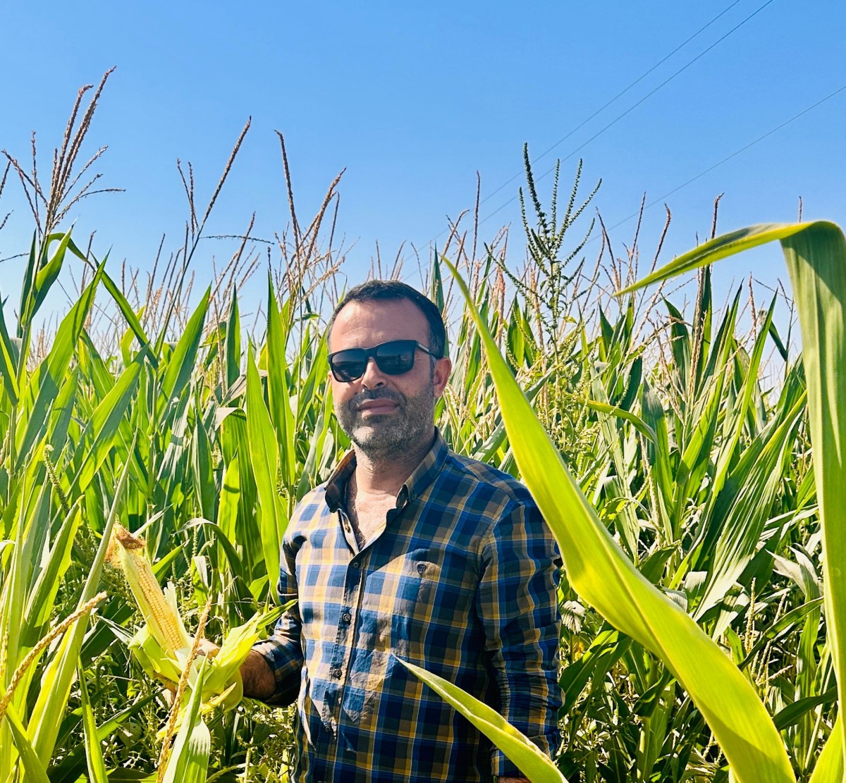 GİRDİ MALİYETLERİ ÇİFTÇİNİN BELİNİ BÜKTÜ