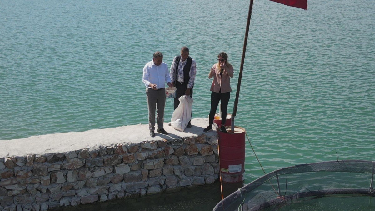 Bölgenin En Büyük Balık Çiftliği Kuruldu 