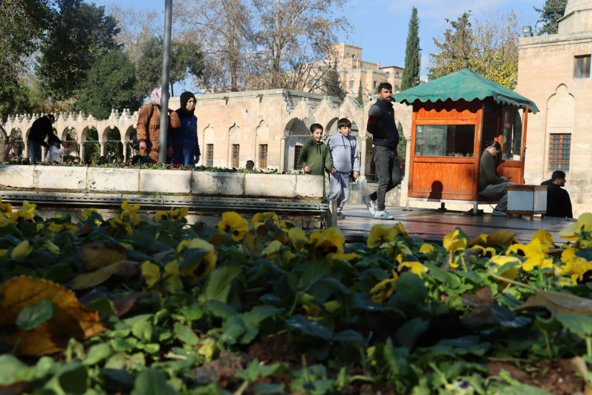 RENGARENK ÇİÇEKLER ŞANLIURFA SOKAKLARINI SÜSLEYECEK