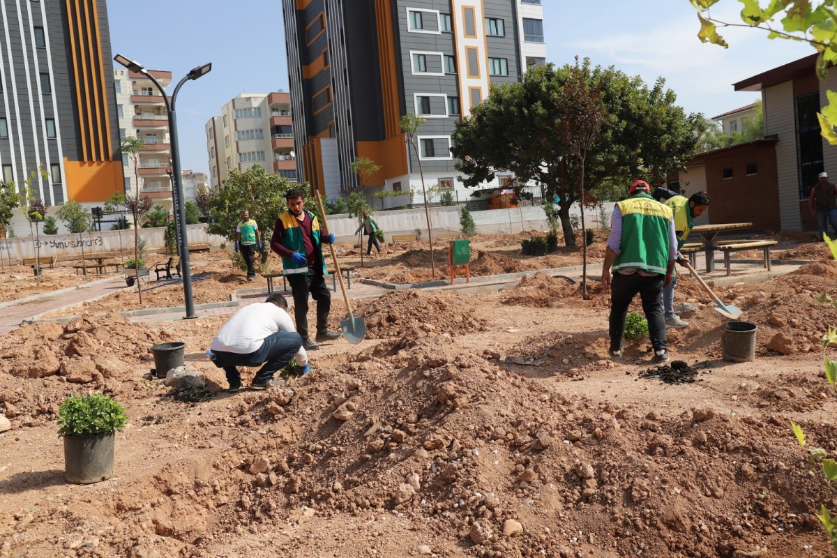 KARAKÖPRÜ’DE AĞAÇLANDIRMA SEFERBERLİĞİ BAŞLATILDI