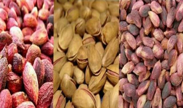 Şanlıurfa’da Fıstık Fiyatları Güncellendi!  