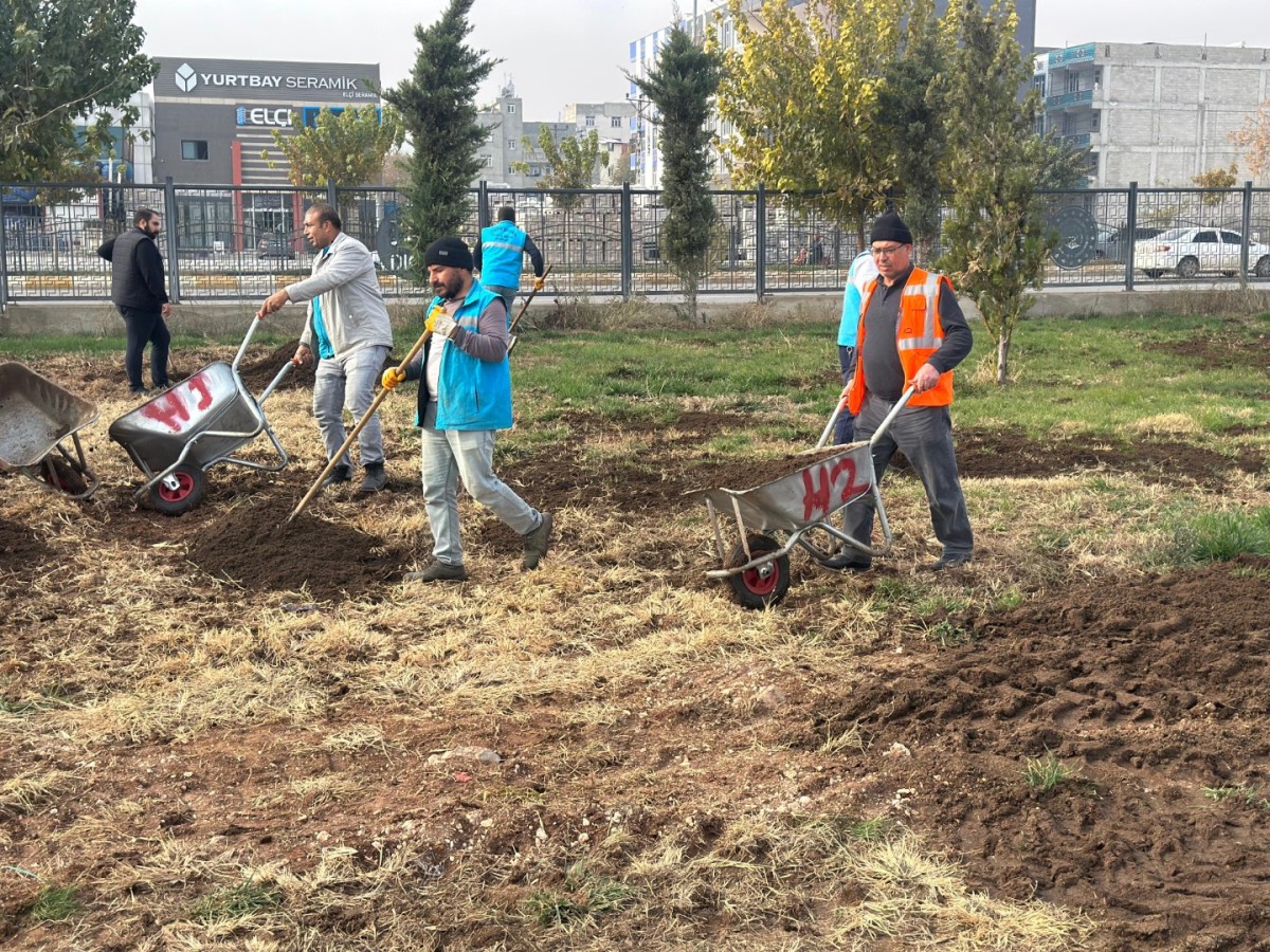 Yemyeşil Eyyübiye İçin Sahadalar