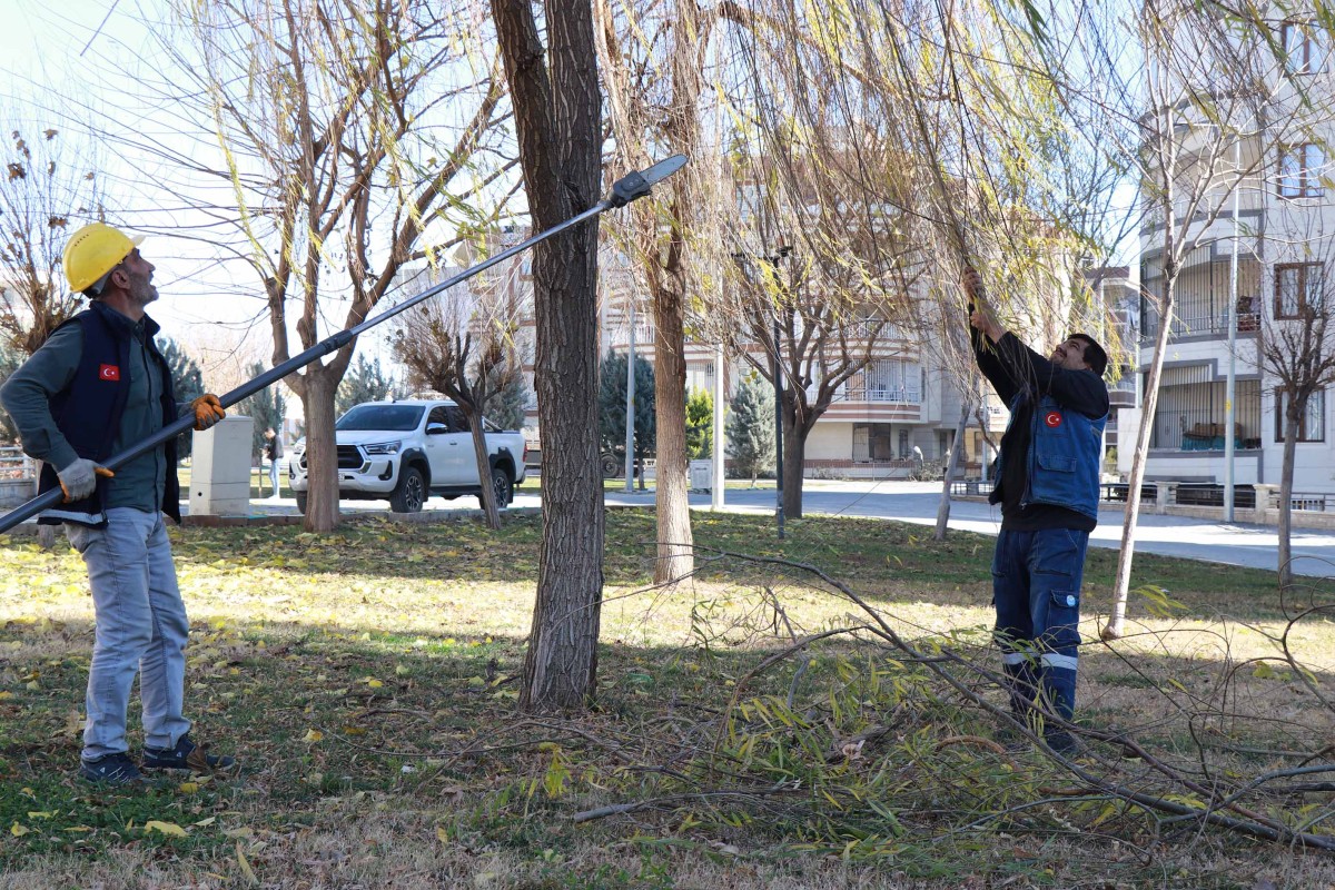 HALİLİYE’DE 203 PARK VE SOKAKLARDA HUMMALI PEYZAJ ÇALIŞMALARI 