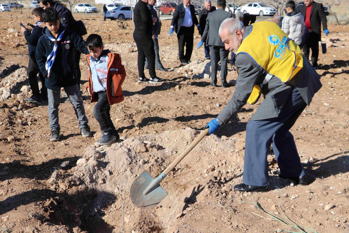 KARAKÖPRÜ'DE AĞAÇLANDIRMA KAMPANYASI KIRSALA YAYILIYOR