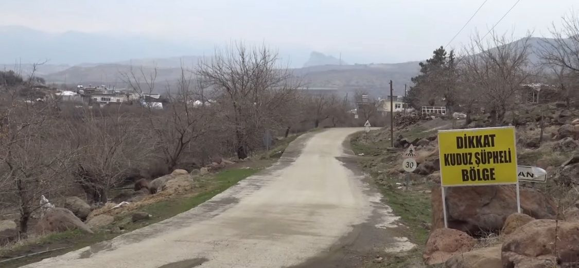 Urfa’da Kuduz Vakası! Kaymakamlıktan Açıklama