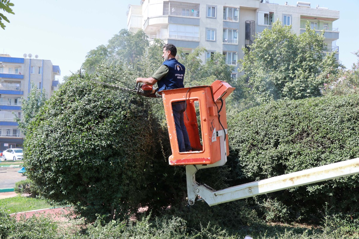 HALİLİYE BELEDİYESİ’NDEN PARKLARA YENİLEME VE GÜZELLEŞTİRME ÇALIŞMASI
