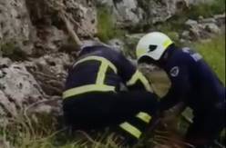 Uçurumda Mahsur Kalan 2 Keçi İtfaiye Tarafından Kurtarıldı